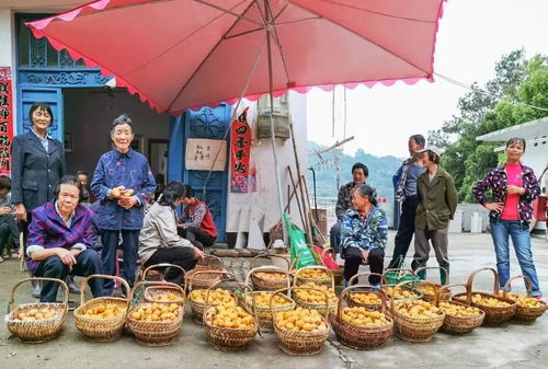 线上 线下多渠道助销 黄山旅游 公益助农显担当
