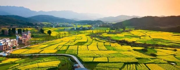 探讨:如何乡村振兴?是靠农业主题公园还是田园综合体项目?_旅游