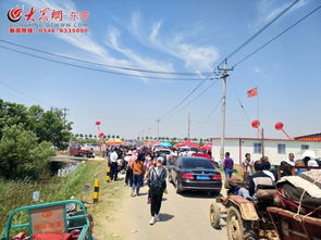 发展绿色生态农业 推进乡村旅游发展 陈庄镇第五届临合蜜采摘节活动盛大开幕