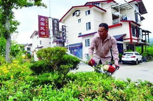 闽北这条乡村游线路被农业农村部点名推荐 约起来