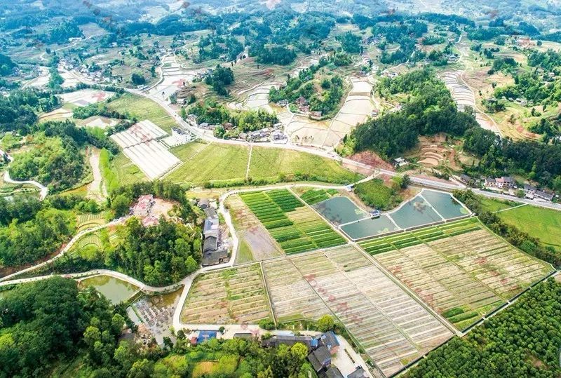 南川!南川!相生相伴,我越来越爱你…