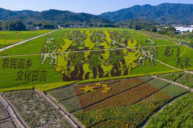 休闲农业与乡村旅游融合发展,龙门多地获“省级示范”殊荣