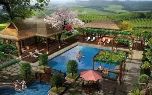 未来养生市场将达千亿规模,休闲旅游开发如何抓住机遇
