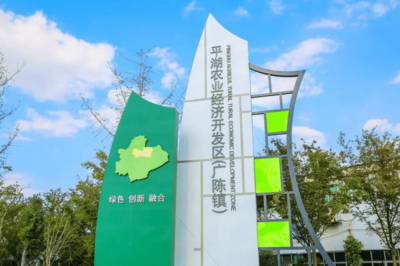 2021美丽城镇建设杨帆再起航