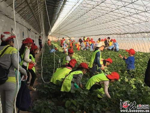 河北省推出32条系列休闲农业与乡村旅游精品线路