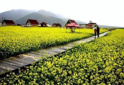 美丽乡村:文旅融合的主要思路