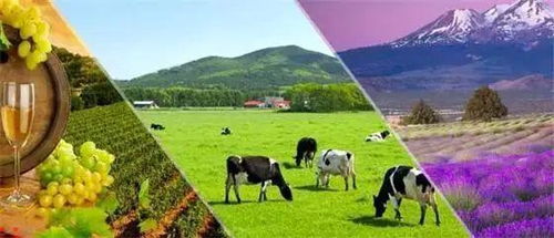 法国农业旅游的发展经验与启示