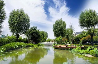 中牟县雁鸣湖镇 旅游 农业 生态 融合发展 绘就全域旅游 新画卷