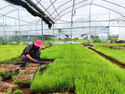 赣州开发区党务公开网-- 三江乡:春耕好时节 早稻插秧忙 - 让经开书香弥漫 让读书蔚然成风 - 蟠龙镇:筑牢安全生产防线 - 【简讯】 - “2023赣州消费提振年”暨汽车消费券发放启动仪式在经开万达广场举行 - 本区资讯