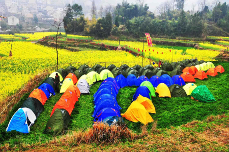 《休闲农业与乡村旅游》 | 第二章 农业生产文化的开发(.