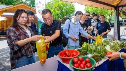 夏阳街道:紧抓机遇打造市级样板,政企携手开启致富之路丨强发展信心 筑实干同心