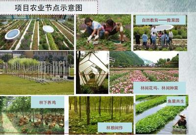 淄博漂流旅游开发可行性报告备案新版 农业旅游开发整合方案