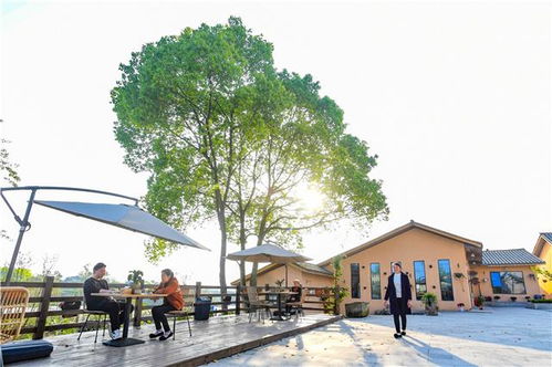 发展现代休闲农业，促进旅游产业升级