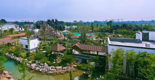 双12旅游爆买节，农业旅游开发超值折扣不容错过