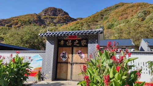 这里，迎来了农业旅游最佳观赏季