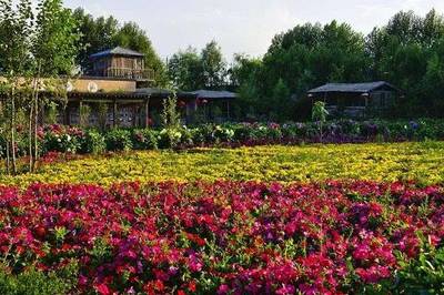 休闲农业旅游规划的模式与核心要求