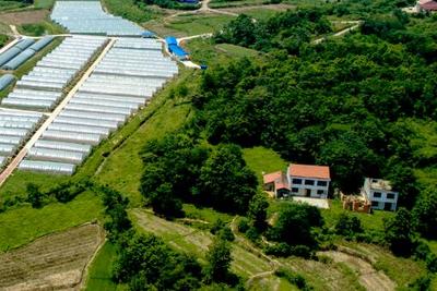 十九大时光 农业科技创新助力西藏民生改善与农业旅游开发