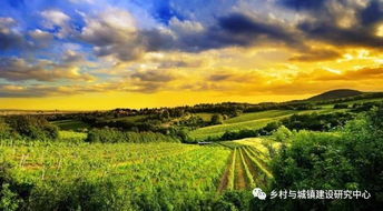 农旅融合新纪元 引爆“农业+”康养文旅地产的复合型开发浪潮