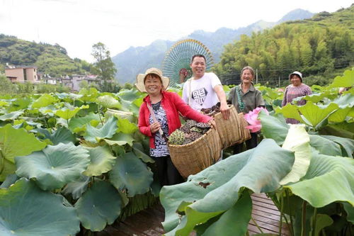 请人民阅卷丨村头镇 瞄准新方位，扛起新使命，全面开启农旅融合新篇章