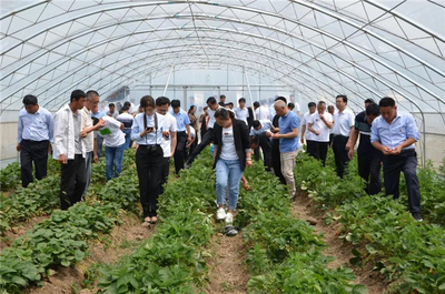 郑路镇乡村振兴专题培训班探讨乡村旅游与农业旅游开发