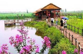 乡村旅游不止于农家乐 六大创新模式引领农业旅游开发新篇章