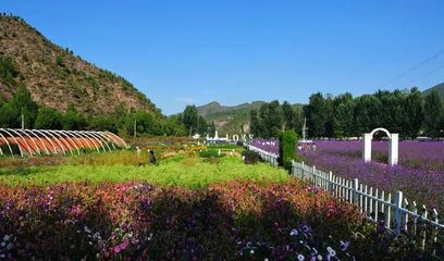 创意农业丨他山之石 城郊休闲农业的创意源泉与旅游开发新路径